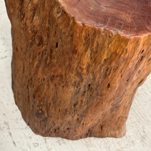 Mid 20th Century Warm Honey Brown Free-Form Tree Trunk Side Pedestal Table For Sale - Image 10 of 10