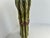 Vintage Ceramic Trompe I'Loeil Asparagus Spears - Pottery Sculpture For Sale - Image 4 of 9