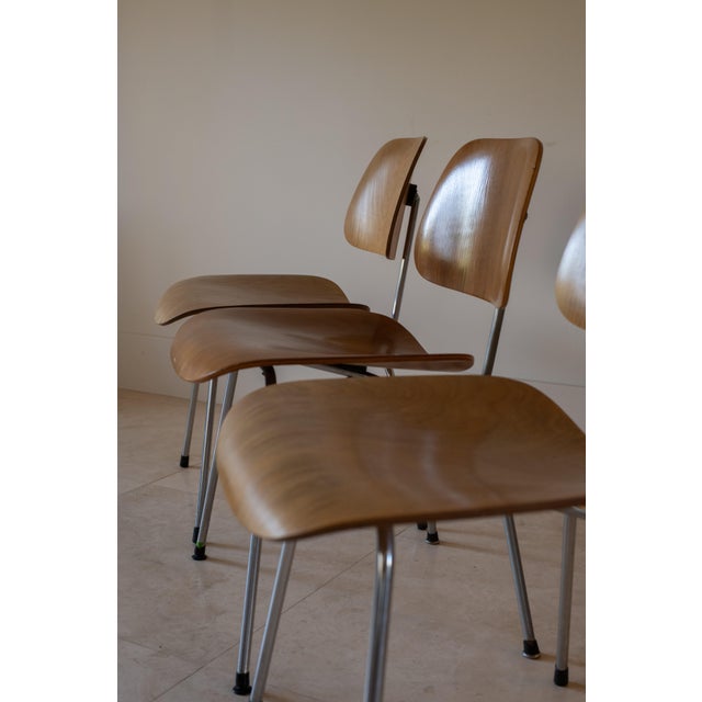 1950s Charles and Ray Eames DCM Dining Chairs by Herman Miller, Usa For Sale - Image 10 of 13