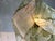 Contemporary Multi Léonard Pendant Lamp in Bio Material with Natural Dyes by Thibault Philip For Sale - Image 3 of 8