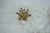 Brass and Crystal Ceiling Lamps, Italy, 1970s, Set of 3 For Sale - Image 4 of 18