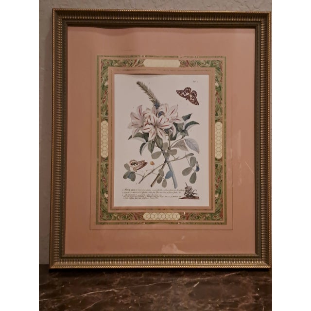 Exquisite Botanical Prints From the Sutton Collection (2) About 25 years ago, my husband and I were leisurely strolling...