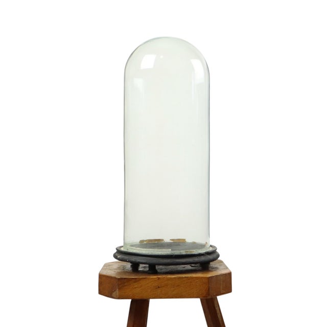 Antique Mouth-Blown Glass Dome Globe, 1890s For Sale - Image 12 of 12