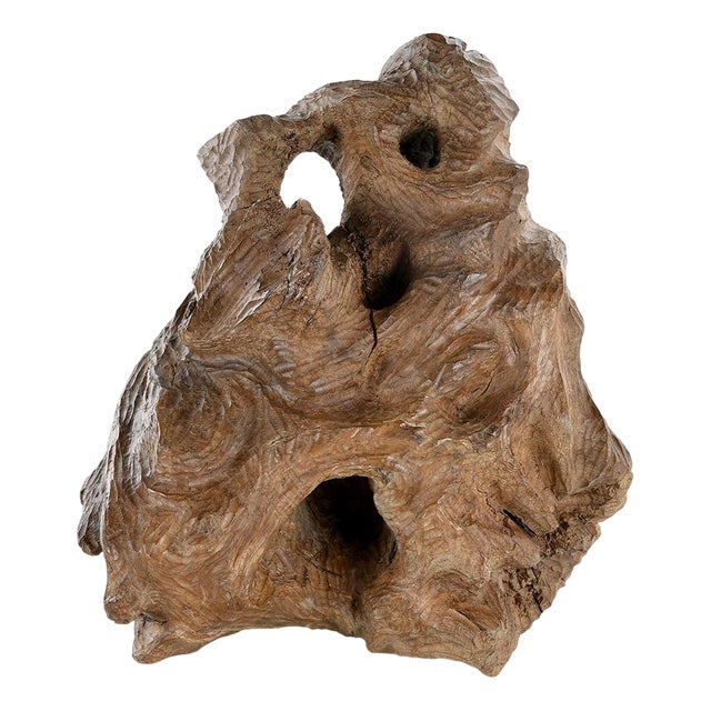 Carved Teak Root Sculpture For Sale