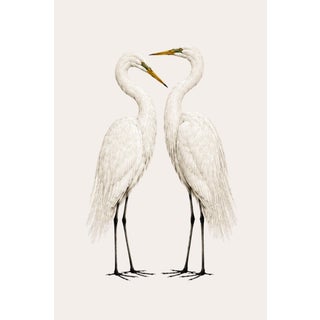 Crane Study 3 Neutral Coastal Bird Art Print, 24" X 36" For Sale