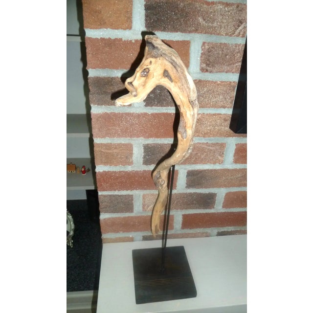 New England weathered driftwood in the natural shape of a seahorse mounted on a painted black cedar base, supported by a...