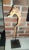 New England weathered driftwood in the natural shape of a seahorse mounted on a painted black cedar base, supported by a...