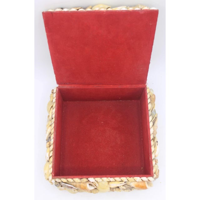 Large Vintage Seashell Encrusted Jewelry Box For Sale - Image 11 of 12