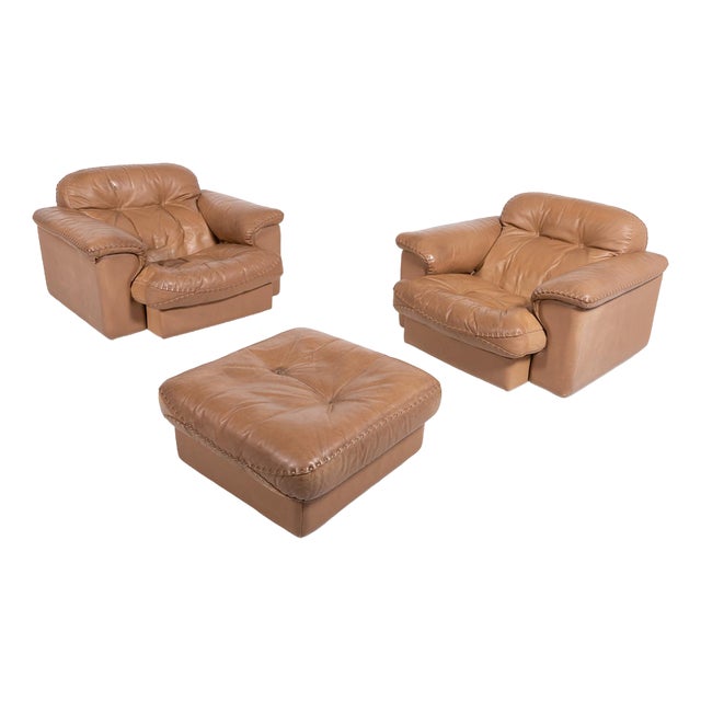 Ds 101 Brown Leather Lounge Chairs from de Sede, 1970s For Sale