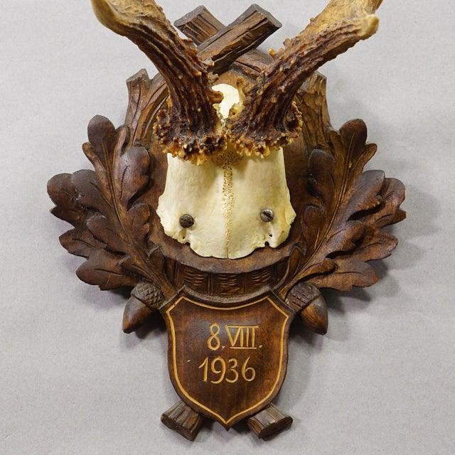 Antique Black Forest Red Deer Trophy on Carved Plaque, Germany 1936 For Sale - Image 4 of 5