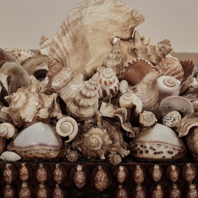 Mid 20th Century Vintage Large Seashell Encrusted Box For Sale - Image 5 of 14