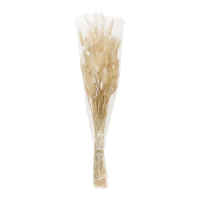 Bring a touch of nature into your home with this elegant Bunny Tail Bundle. Featuring beautifully crafted stems, these...