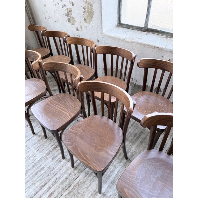Walnut Bistro Chairs, 1970s, Set of 14 For Sale - Image 11 of 18