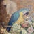 Early 20th Century Montague Hall –Exotic Parrots and Floral Still Life – Early 20th Century Oil Painting For Sale - Image 5 of 12