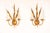 This exceptional pair of 20th-century French gilt metal sconces, inspired by the legendary Coco Chanel, epitomizes...