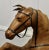 1920s Life Size Arts and Crafts Leather Model of a Horse, 1920s For Sale - Image 5 of 10