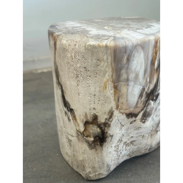 Petrified Stool - Single For Sale - Image 12 of 17