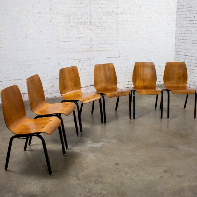 Wood Late 20th to Early 21st Century Modern Walnut Molded Plywood Chairs Stackable Connectable Refinished Set of 6 For Sale - Image 7 of 18