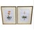 2000 - 2009 Pair of Vintage Framed Chinoiserie Orchid Botanical Prints – Orange & Pink Floral Art For Sale - Image 5 of 12