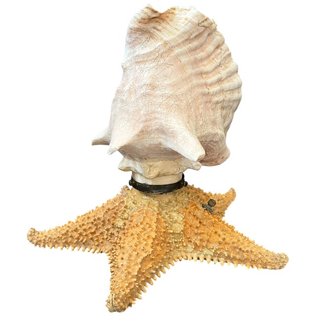 An extraordinary pair of vintage sculptural accent lamps handcrafted from natural conch shells and genuine starfish,...
