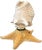 An extraordinary pair of vintage sculptural accent lamps handcrafted from natural conch shells and genuine starfish,...