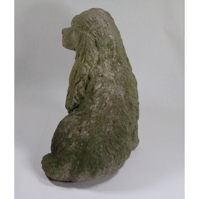 Splendid concrete garden statue of a cocker spaniel. I love the detail of the ears and the garden patina! Very lifelike....