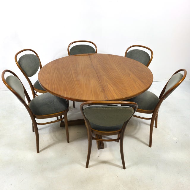Vintage Chairs in Velours and Table from Thonet, 1970s, Set of 7 For Sale - Image 10 of 12