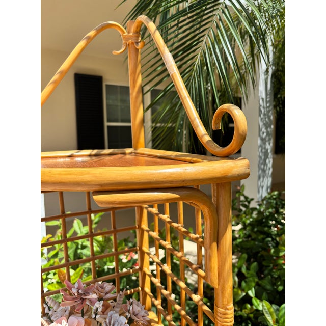Vintage bent rattan corner shelving with italian details and a chippendale back pattern. The Bamboo and flat wood shelving...