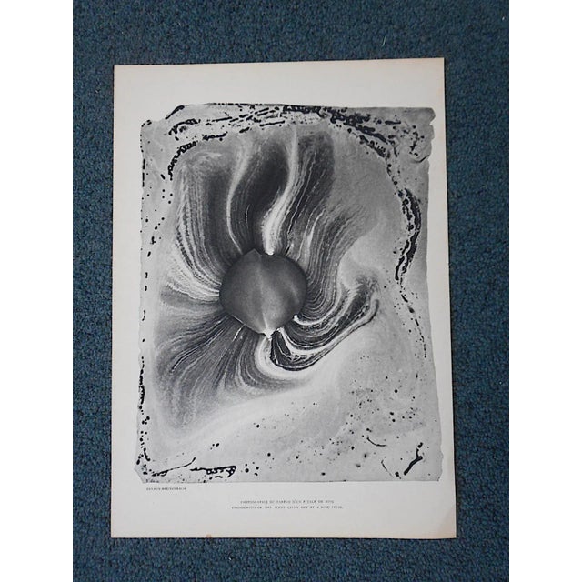 Mid-Century Modern Vintage Heliogravure Photo-Verve-Paris-1939 For Sale - Image 3 of 3