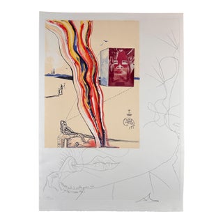 1970s Dali Imaginations & Objects Future Liquid & Gaseous Tv Hand Sig/Num Etching Art For Sale