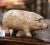 Decorate a kitchen counter with this vintage iron pig sculpture. Crafted in France, circa 1960, the hand painted pig is...