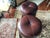 Wood Theodore Alexander Boloro Vintage Bar Stools For Sale - Image 7 of 11