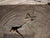 Andrianna Shamaris Minimalist Small Coffee Table, Side Table or Bench For Sale In New York - Image 6 of 6