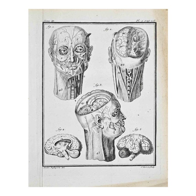 Jacques Baron, Anatomical Studies, Etching, 1771 For Sale