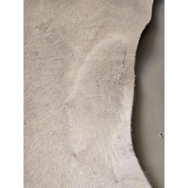 Large White and Grey Genuine Cowhide Rug For Sale - Image 17 of 18