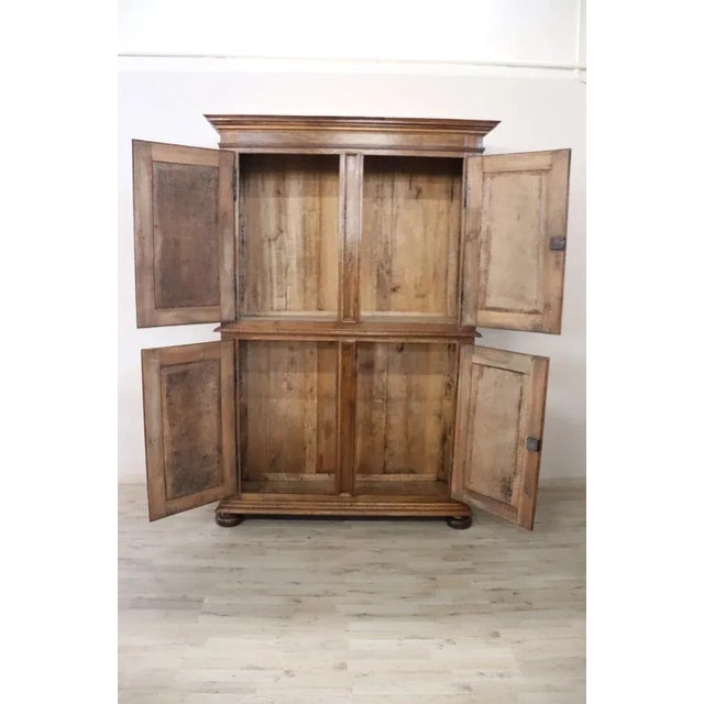 Wood 19th Century Carved Walnut Cabinet For Sale - Image 7 of 10
