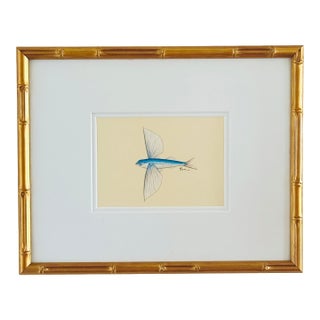 Original Hand-Painted Flying Fish Painting, Framed For Sale