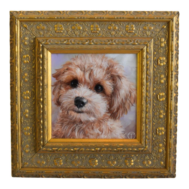 Maltipoo Puppy Dog Pet Portrait Painting Including Antiqued Museum Quality Gold Frame For Sale