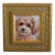 Maltipoo Puppy Dog Pet Portrait Painting Including Antiqued Museum Quality Gold Frame For Sale