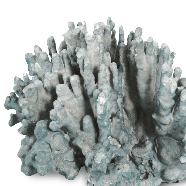 Bring a touch of the sea (sustainably!) indoors with this decorative blue coral. Adorn a bookshelf or coffee table in your...