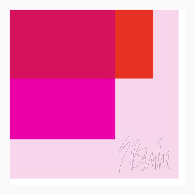 Not Yet Made - Made To Order The Interaction of Red and Deep Hot Pink on Light Pink Fine Art Print 35" X 45" by Liz Roache For Sale - Image 5 of 5