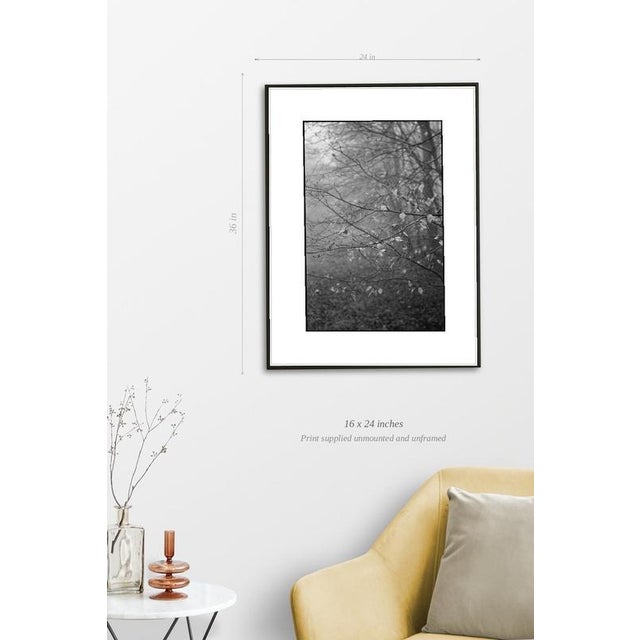 Fine art Giclee prints on Hahnemuhle Photo Rag 308gsm - a 100% cotton, acid-free, mould-made paper. Printed to Fine Art...