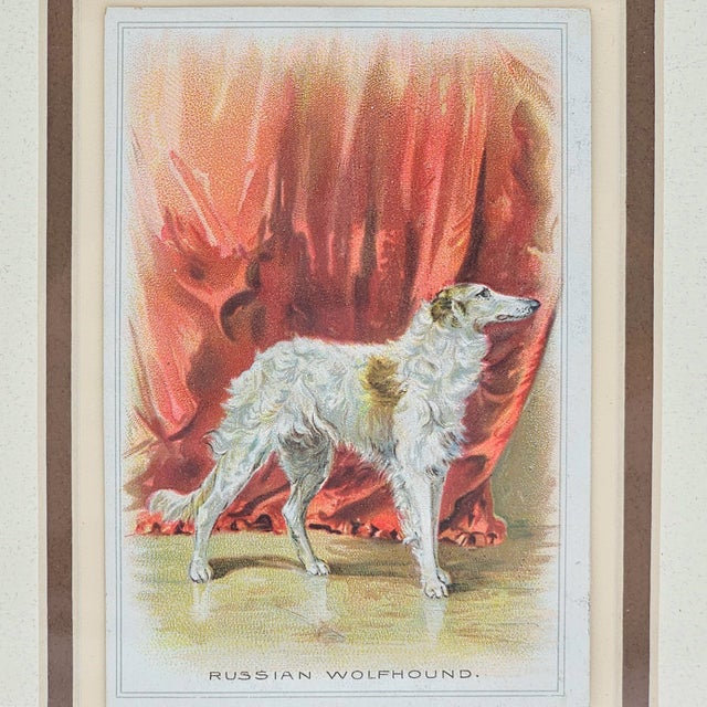 Victorian Victorian Chromolithograph of Russian Wolfhound, c.1890s For Sale - Image 3 of 11
