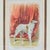 Victorian Victorian Chromolithograph of Russian Wolfhound, c.1890s For Sale - Image 3 of 11