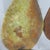 Original Pear Still Life Oil Painting on Gallery Wrapped Canvas 2002 For Sale - Image 4 of 9