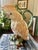 1991 Fitz and Floyd Sulfur Crested Cockatoo Palm Beach Majolica Style Pitcher For Sale - Image 9 of 12