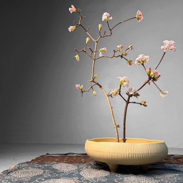 An elegant ceramic ikebana bowl from the 1980s, characterized by a calm, organic design language. Dimensions: height 10...