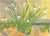 Snowdrops Original Botanical Painting by Michelle Farro For Sale