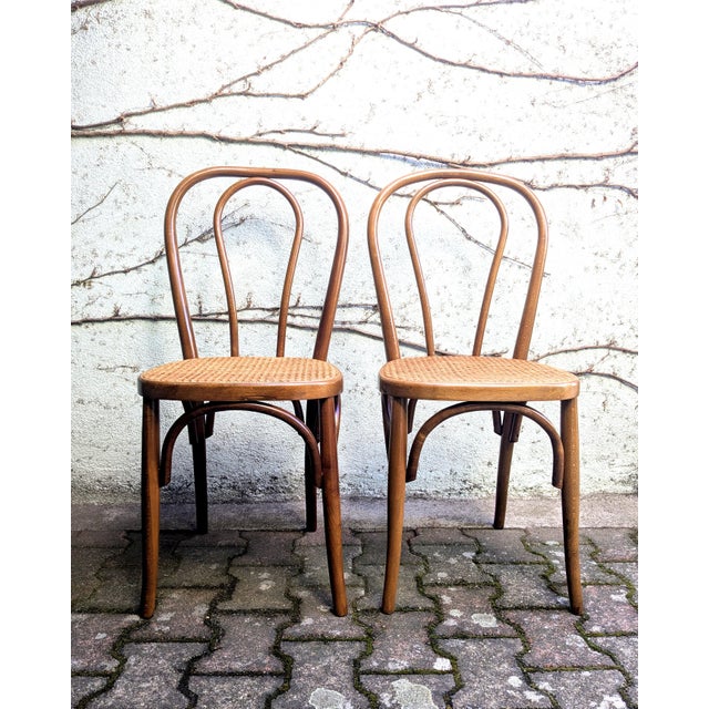 Light Yellow Cane and Bentwood Chairs, 1960s, Set of 2 For Sale - Image 8 of 8