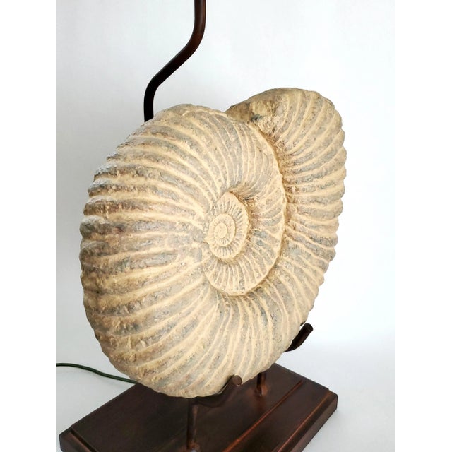 Metal Lamp Plaster Seashell Shell Ammonite Large For Sale - Image 7 of 13
